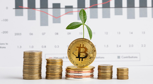 Bitcoin coin with a growing plant on stacked coins in front of financial charts, symbolizing cryptocurrency investment growth, digital wealth creation, and sustainable blockchain finance.